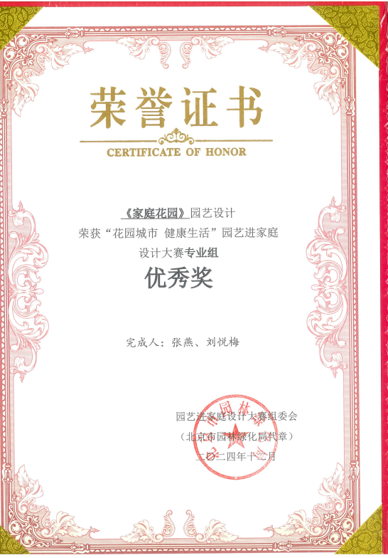 优秀奖奖状.PNG